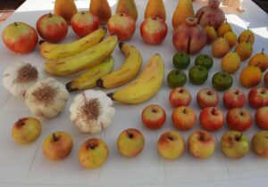 Frutta assortita in marmo di Carrara